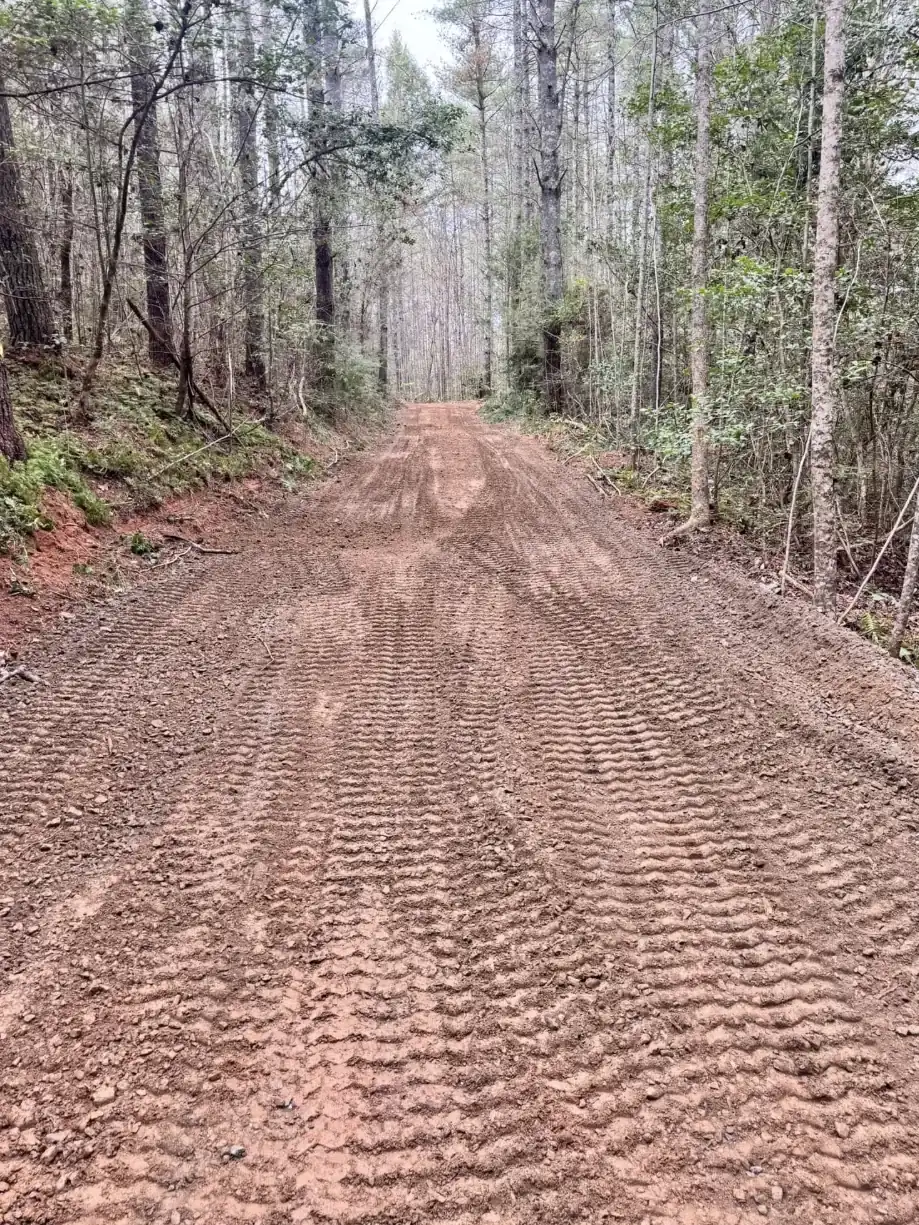 A cut dirt road climbing a grade through a property — Little Acres Grading